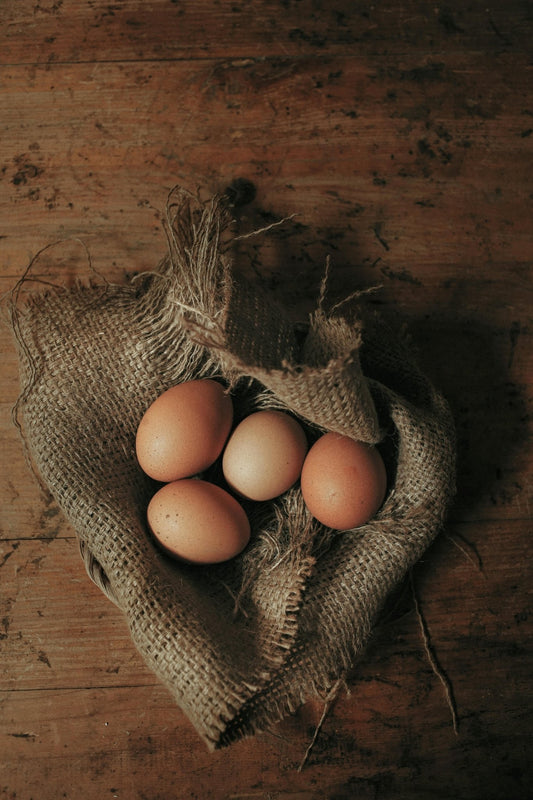 10 Pro Tips for Harvesting Cleaner Eggs from Your Backyard Flock - casadechicka