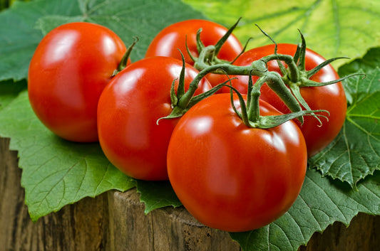 Can Chickens Eat Tomatoes? An In-depth Look into Poultry Diets and Tomato Toxicity - casadechicka