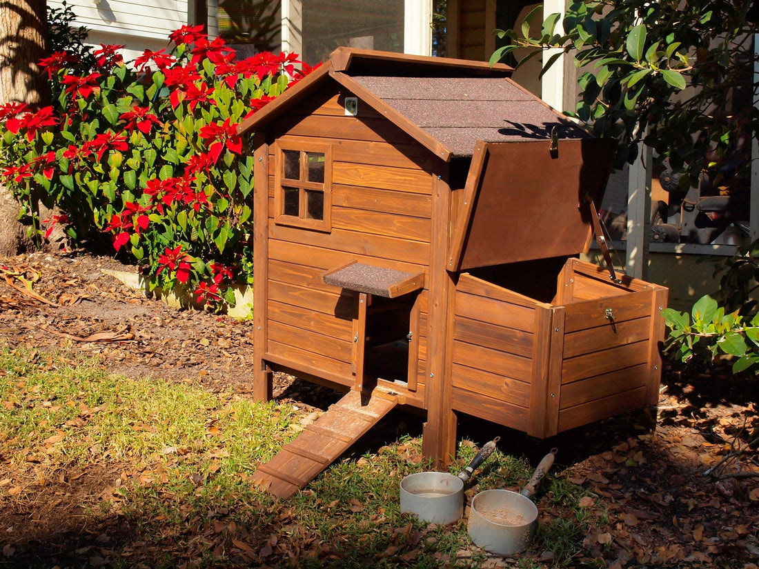 Coop Dreams: Crafting the Ultimate DIY Chicken Home - casadechicka