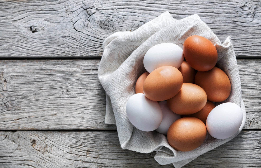 Farm Fresh Eggs vs. Store Bought Eggs: A Comprehensive Comparison - casadechicka