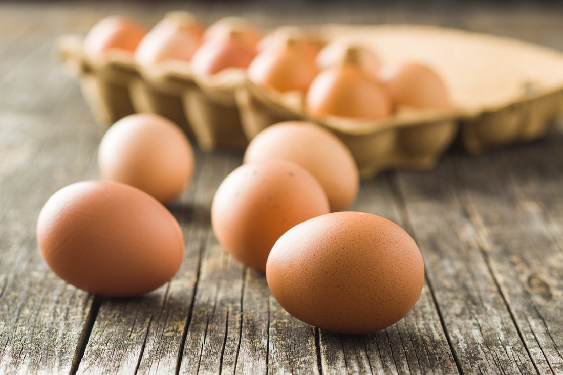 How to Get the Best Eggs from Your Chickens: Nutrition, Care, and More - casadechicka