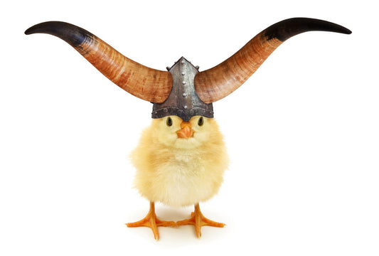 Viking Valor: Unraveling the Rooster's Role in Norse Mythology - casadechicka