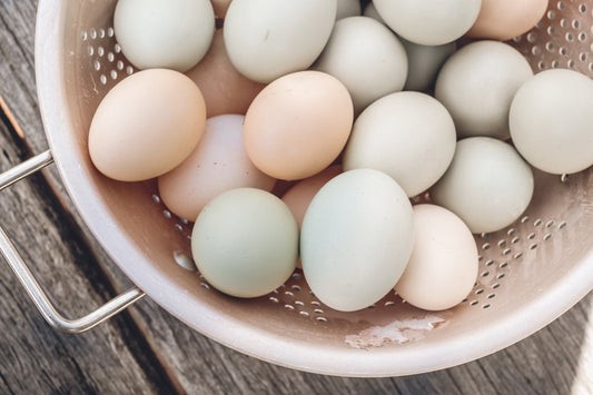 Which Chickens Have the Most Colorful Eggs? - casadechicka