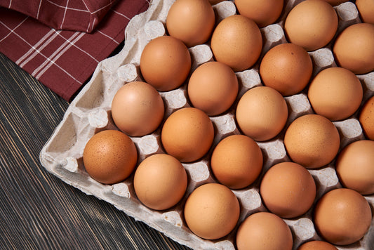 Which Chickens Lay the Most Eggs? A Guide to High Egg-Producing Breeds - casadechicka